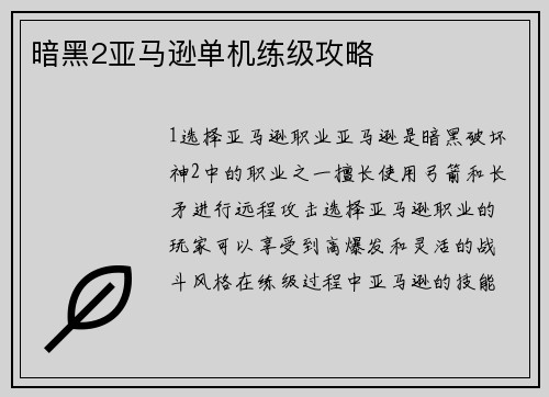 暗黑2亚马逊单机练级攻略