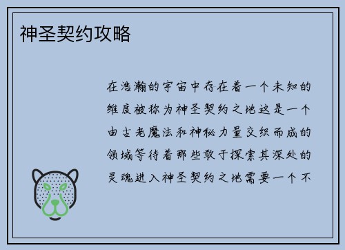 神圣契约攻略